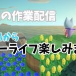 【あつ森】深夜のスローライフ作業配信！#あつ森 #あつまれどうぶつの森