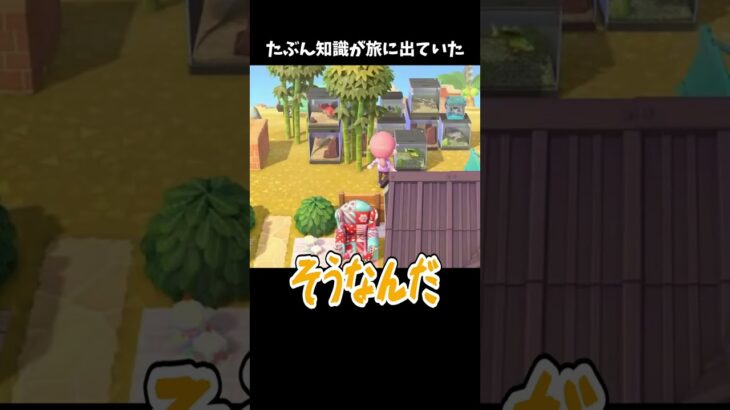 たぶん知識が旅に出ていたｗ あつ森 失敗 #あつ森 #ききゆん 【嬉々桜ゆん】