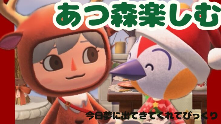 【初見歓迎】あつ森いいよね楽しもう！【あつ森】