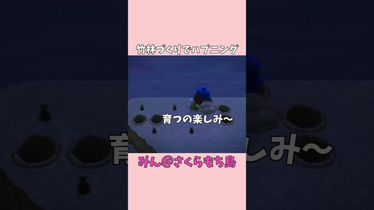 【あつ森】竹林つくろうとしたらまさかのハプニング発生！