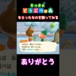 【おばちゃんのあつ森生活】もらったものを飾ってみる　🌳あつ森初心者🌳