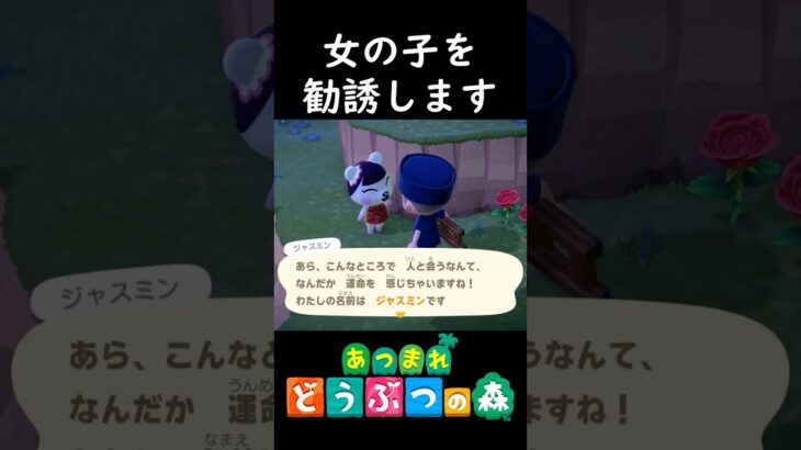 板前ナンパ師の深夜徘徊 #あつ森 #ジャスミン #ナンパ