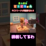 【おばちゃんのあつ森生活】タコリーナが風邪だわ‼　🌳あつ森初心者🌳