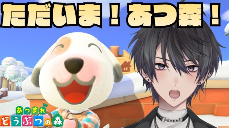 【あつ森】空き地を勝手に有効活用するね！【あつまれどうぶつの森】