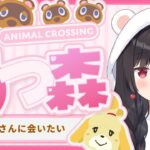 【寝る前に】あつ森🌱癒しの無人島生活🧸💕