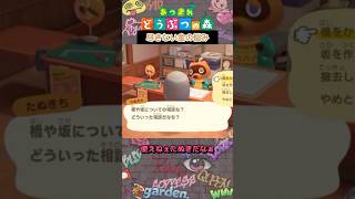 【あつ森】たぬきちにはいつも感謝してる