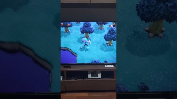 サソリの捕まえ方#あつ森