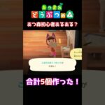 【おばちゃんのあつ森生活】あつ森初心者あるある？　🌳あつ森初心者🌳