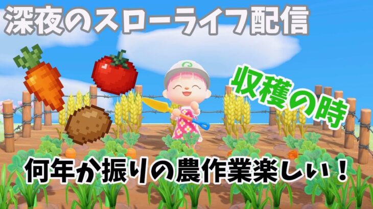 【あつ森】深夜のスローライフ作業配信！#あつ森 #あつまれどうぶつの森