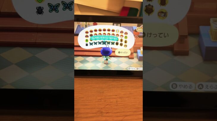 全部売った　あつ森高額買取