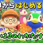 【あつ森】#３９ ゼロからはじめる｜はるのわかたけレシピ集め！残り８レシピ【第４の島】