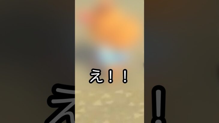 【あつ森】卒業したあの住民が遊びに来てくれた