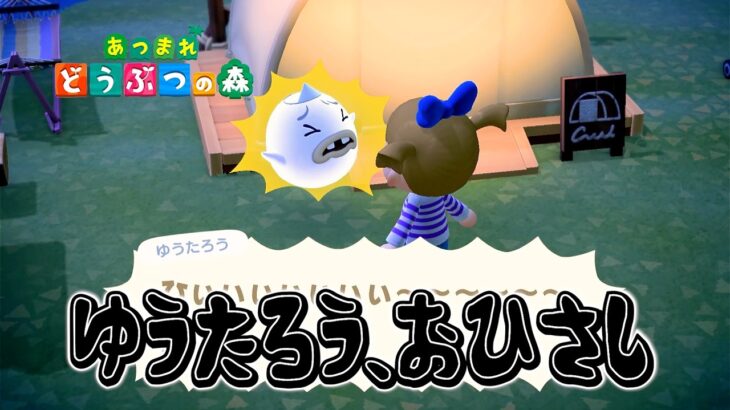 まったり島づくり～ゆうたろうに会って、博物館の中見た～【あつ森】#２２