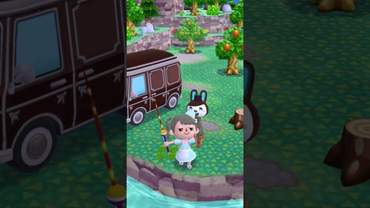 ポケ森キャンプ🏕️#ポケ森#あつ森#ゲーム#あつまれどうぶつの森