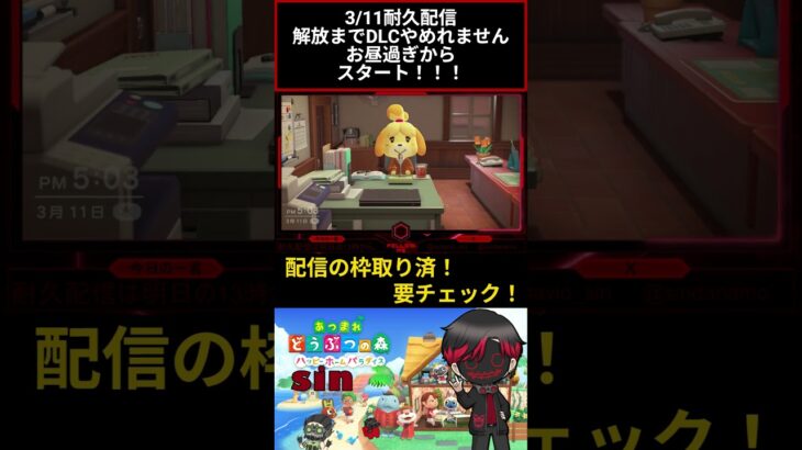 耐久配信やるよ！！！ #あつ森 #あつまれどうぶつの森 #コツ森 #しん〇
