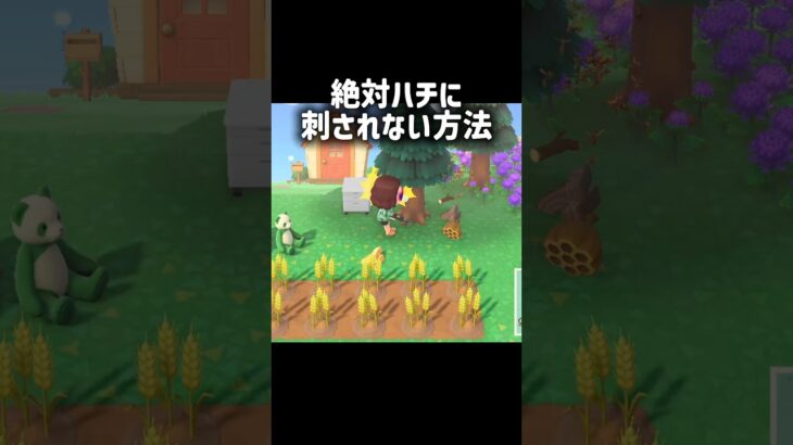 正々堂々つかまえろ！！！ #あつ森 #あつまれどうぶつの森 #ハチ #裏技 #小ネタ