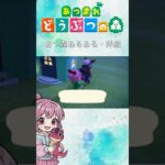 【あつ森】あつ森あるある リアーナにプレゼント