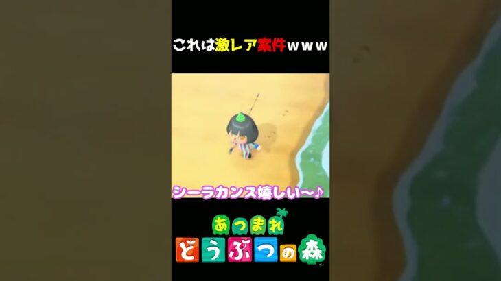 【あつ森】これは激レア案件!!!