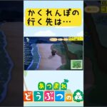 あなたはみつけられるか？あつ森でかくれんぼ！（ゲーム実況/あつまれ どうぶつの森）