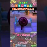 【あつ森】ふーん、そうやってマウント取るんだぁ