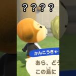 【あつ森】めっちゃ気になるキャラに出会えたけど…