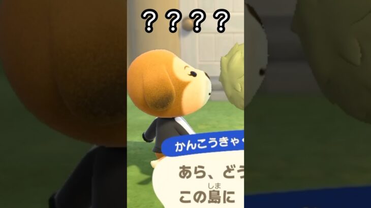 【あつ森】めっちゃ気になるキャラに出会えたけど…