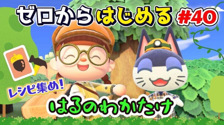 【あつ森】#４０ ゼロからはじめる｜はるのわかたけレシピ集め！残り８レシピ【第４の島】