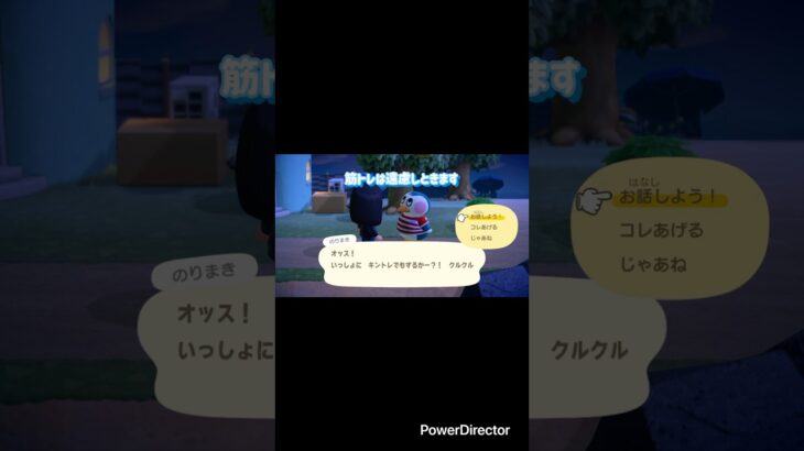 【新しい趣味】 #あつ森 #あつまれどうぶつの森