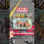 コストコ新商品🎊激可愛いあつ森ーズ✨