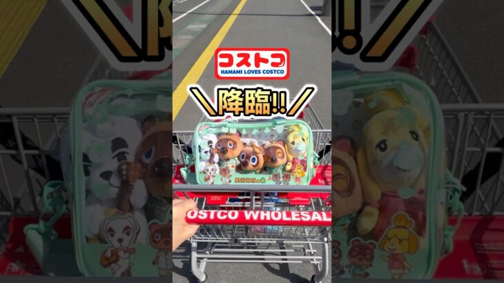 コストコ新商品🎊激可愛いあつ森ーズ✨