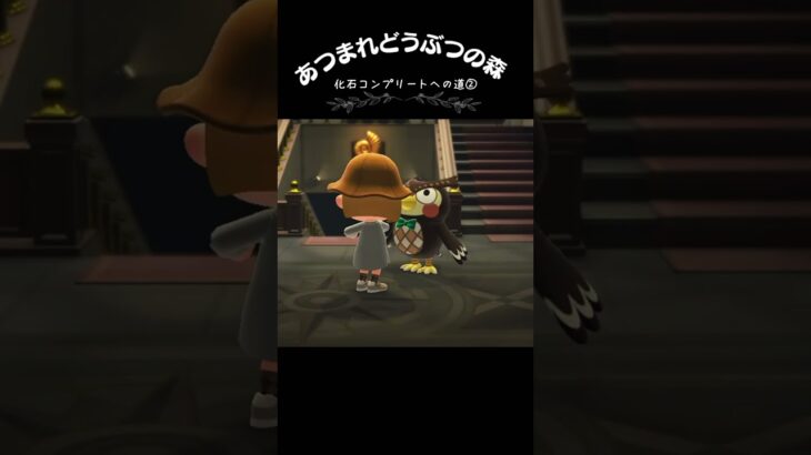 【あつ森】化石コンプリートへの道②