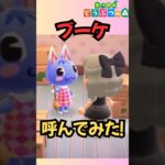 ブーケ呼んでみた！ついに島へ✨#あつ森  #あつまれどうぶつの森