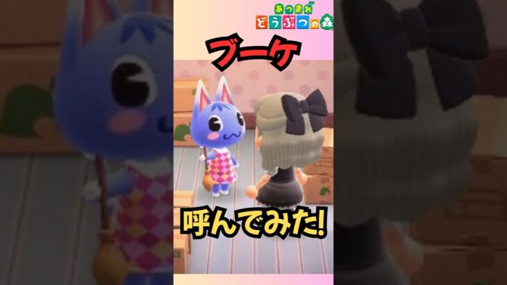 ブーケ呼んでみた！ついに島へ✨#あつ森  #あつまれどうぶつの森