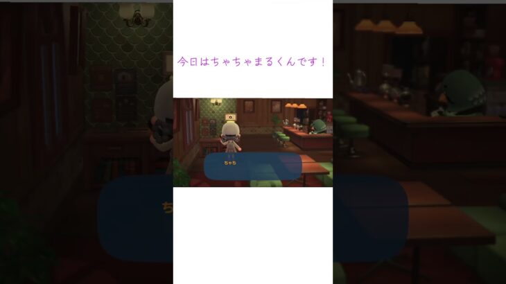 喫茶店にちゃちゃまる呼びました☕️#あつまれどうぶつの森 #あつ森 #あつ森女子 #あつ森好きな人と繋がりたい