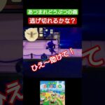 【#あつ森 】逃げ切れるかな？【#あつまれどうぶつの森 】