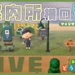 【あつ森】マイデザインなし島クリ第２弾🏝️ ちょっと案内所横の湖周辺を整えます【雑談】
