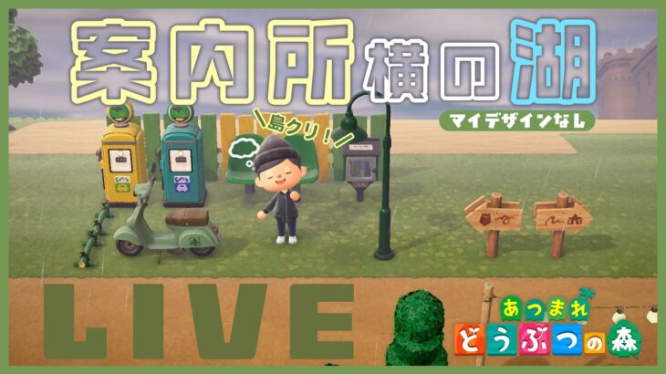 【あつ森】マイデザインなし島クリ第２弾🏝️ ちょっと案内所横の湖周辺を整えます【雑談】