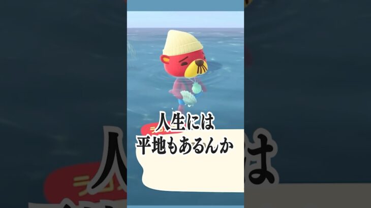 ラコスケ先生、わたしはどうすればいいのでしょうか【あつ森】