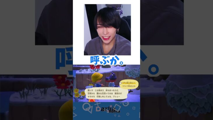 お気に入りの住民コメントで教えて!! #ゲーム実況 #あつ森 #切り抜き