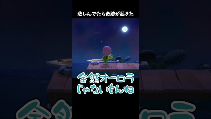 悲しんでたら奇跡が起きた！！ #あつ森 #ききゆん 【嬉々桜ゆん】