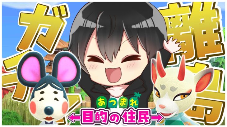 【あつ森】和風住民に出会う離島ガチャ！よしのかふくこが来たら終了！【あつまれどうぶつの森】