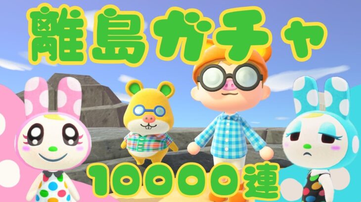 【あつ森】離島ガチャ！ミッチェルぷ#縦型配信