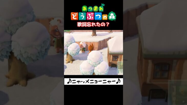 【おばちゃんのあつ森生活】歌詞忘れたの？　🌳あつ森初心者🌳