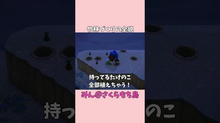 【あつ森】崖の上が竹林に大変身！✨