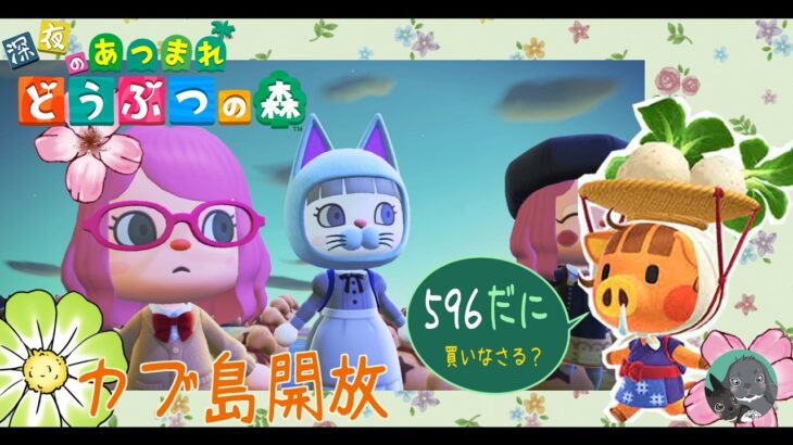 【あつ森】５９６カブ島開放と和風家具のおさわり会、レシピなど【視聴者参加型(あつ森)】カブ売りしたい方は初回のみコメント欄に「島名・名前　をご記入ください　何度でも往復可能です