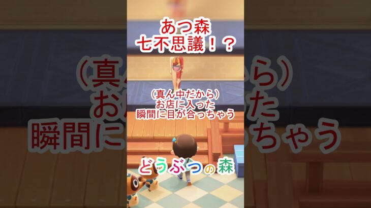 七不思議？あつ森【あつまれどうぶつの森】#あつ森 #あつまれどうぶつの森