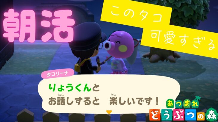 【朝活】ぼちぼちあつ森やってくよ～【雑談配信】