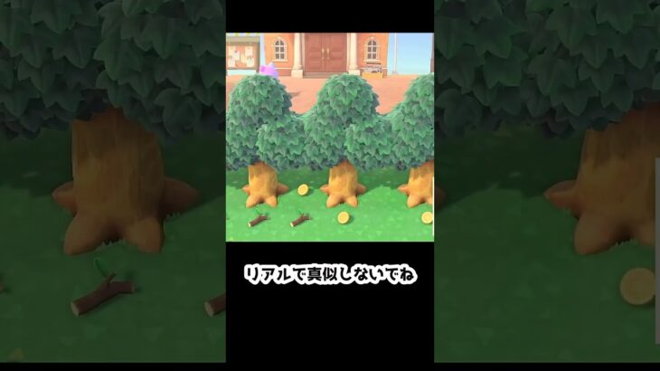 【あつ森】　みすずのお目め