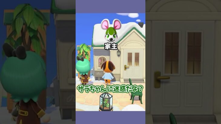 家の前に不審者が！？ #あつ森  #あつまれどうぶつの森  #女性ゲーム実況