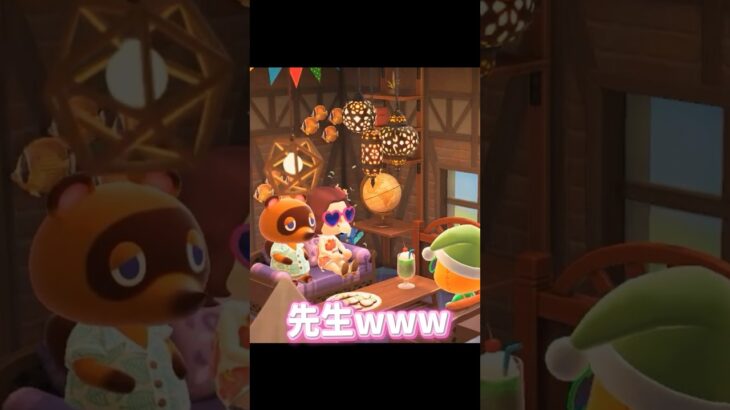 パッチくんはきっと家庭科の先生❤️ #あつ森 #あつまれどうぶつの森 #パッチ #たぬきち